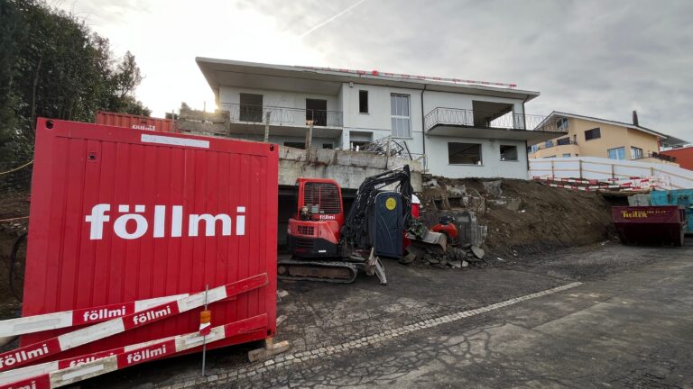 Neubau DEFH, Erlenhalde 10+12, Wollerau